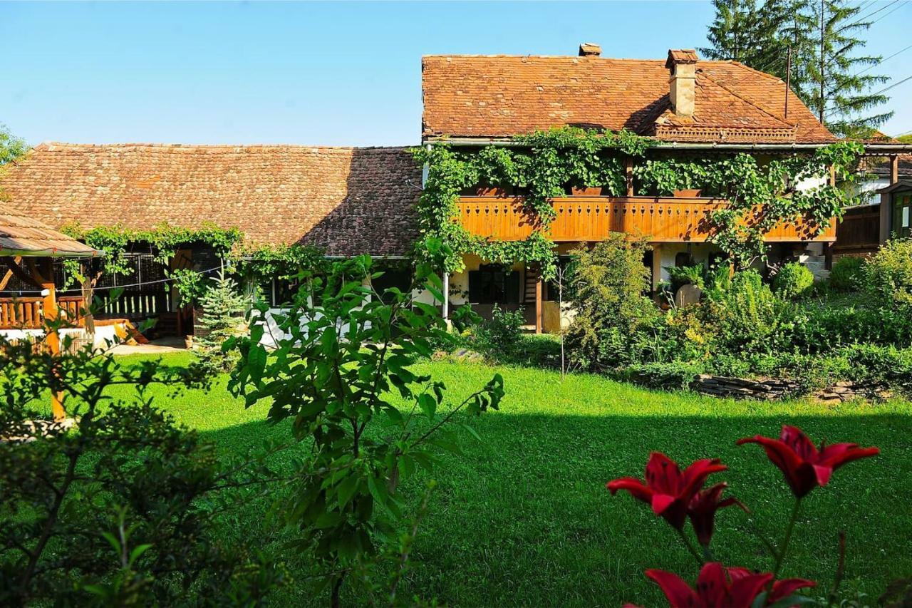 Transylvanian Country House Vetca エクステリア 写真