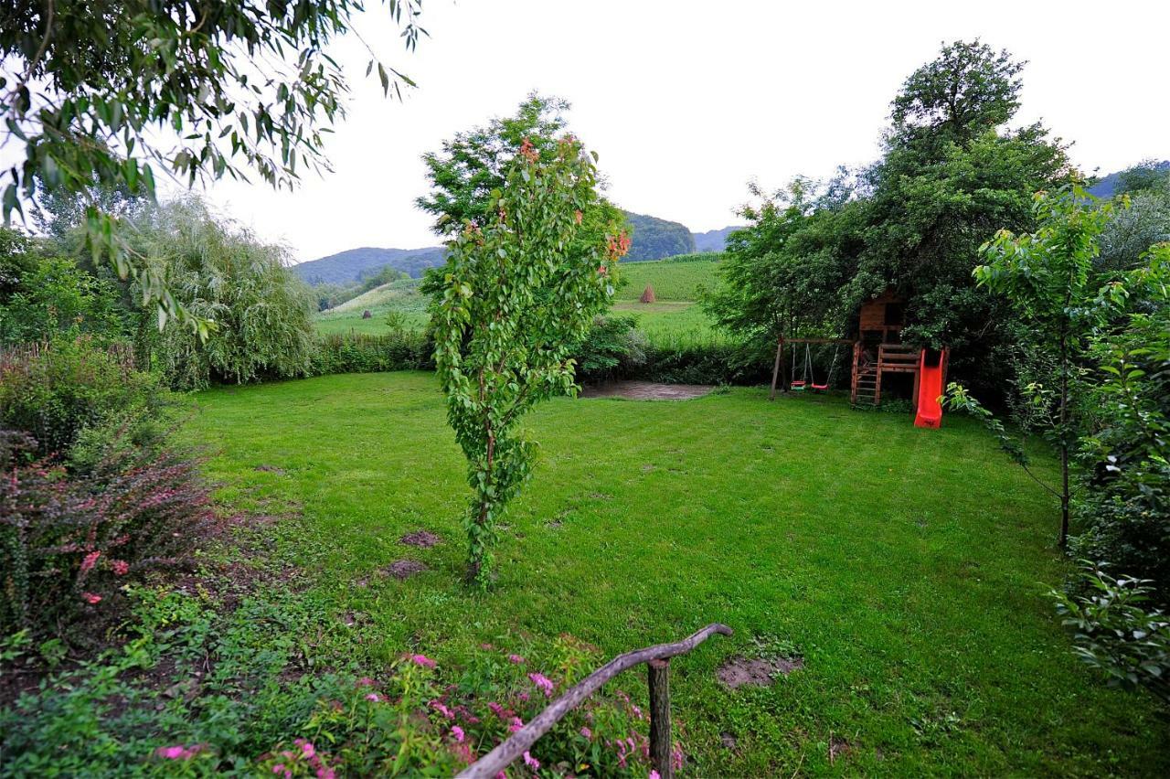 Transylvanian Country House Vetca エクステリア 写真